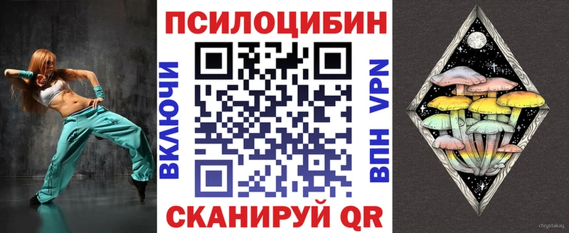 наркотики  Бирюсинск  Псилоцибиновые грибы Psilocybine cubensis 